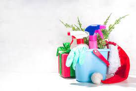 Guests Coming? Tidy-Up Quick