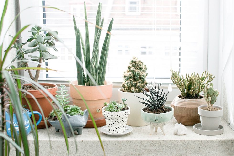 10 Delightful Ways to Make Your House Brighter in Winter
